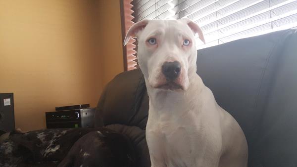 /Images/uploads/Humane Society of Utah/HSUCalendar/entries/813thumb.jpg
